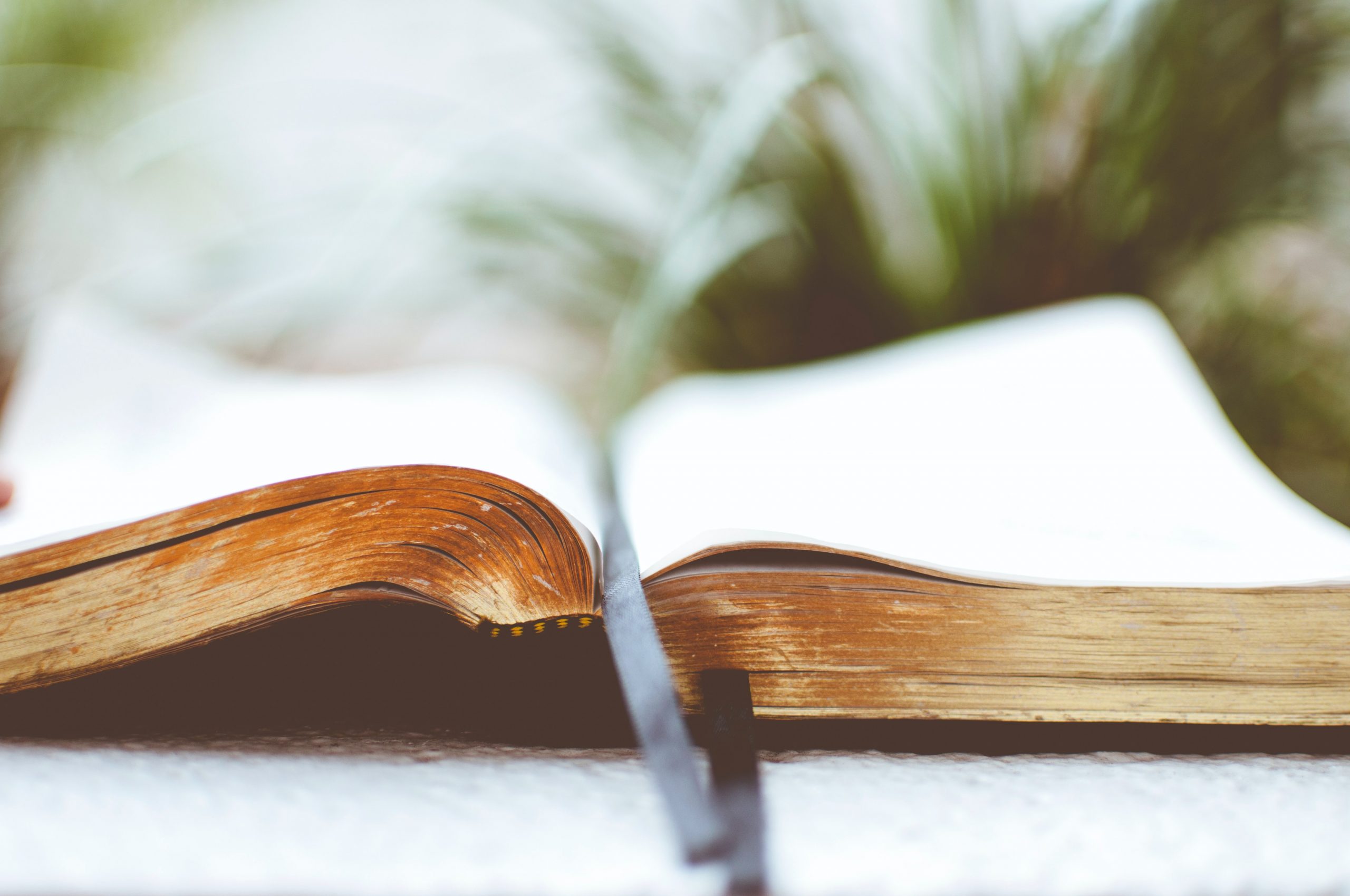 In Praise of My Bible Study