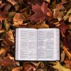 Praying from the Psalms, open Bible
